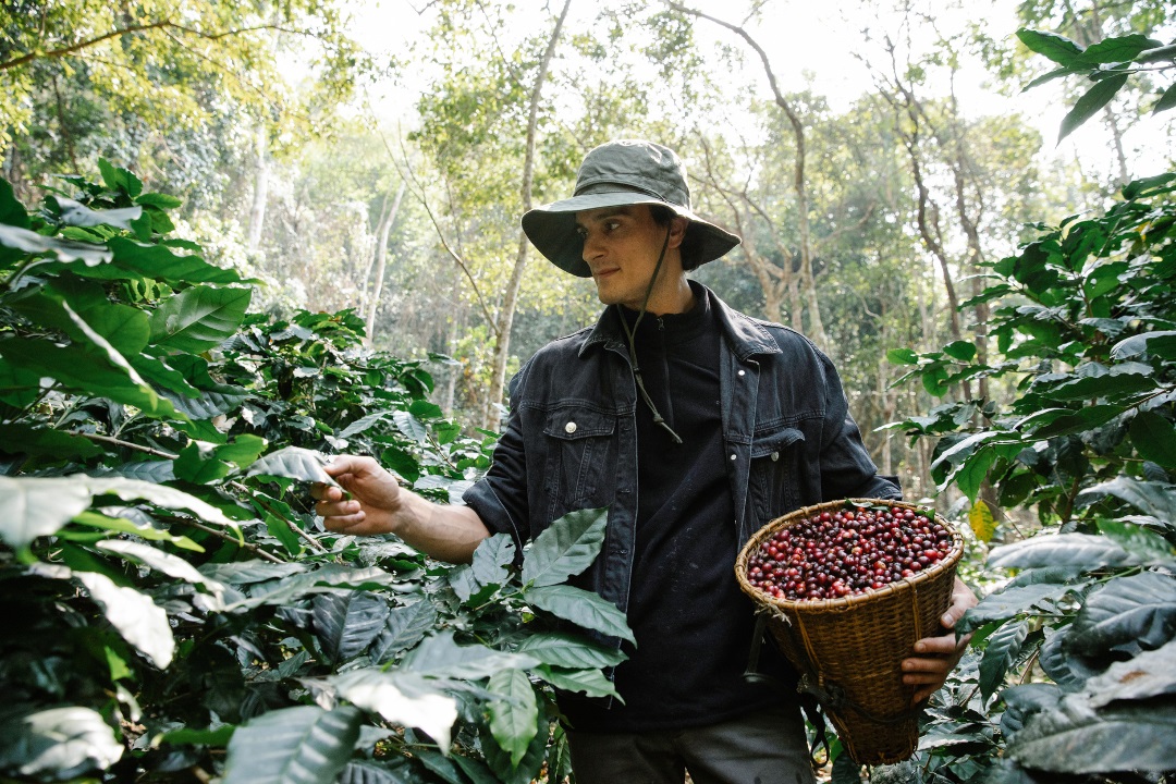 Artesanos y productores
