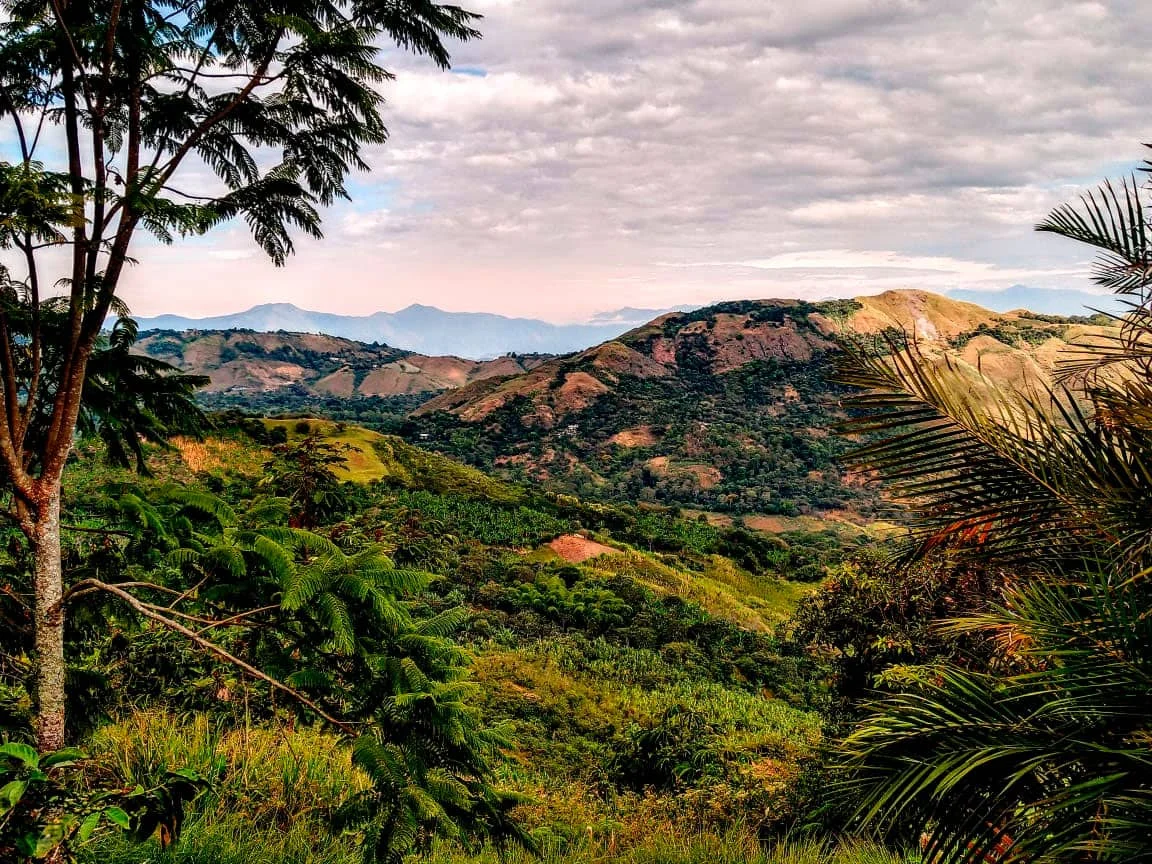 Región cafetera Nariño
