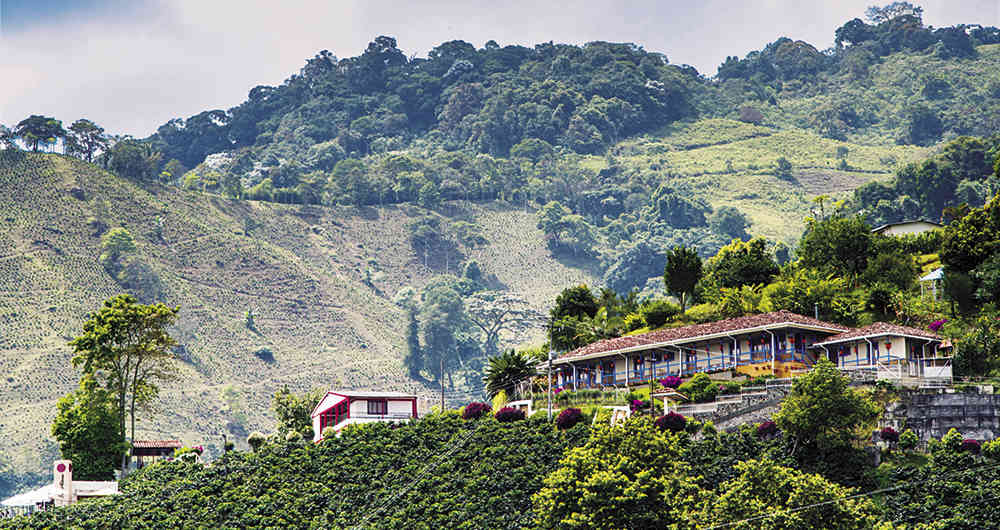 Región cafetera Santander